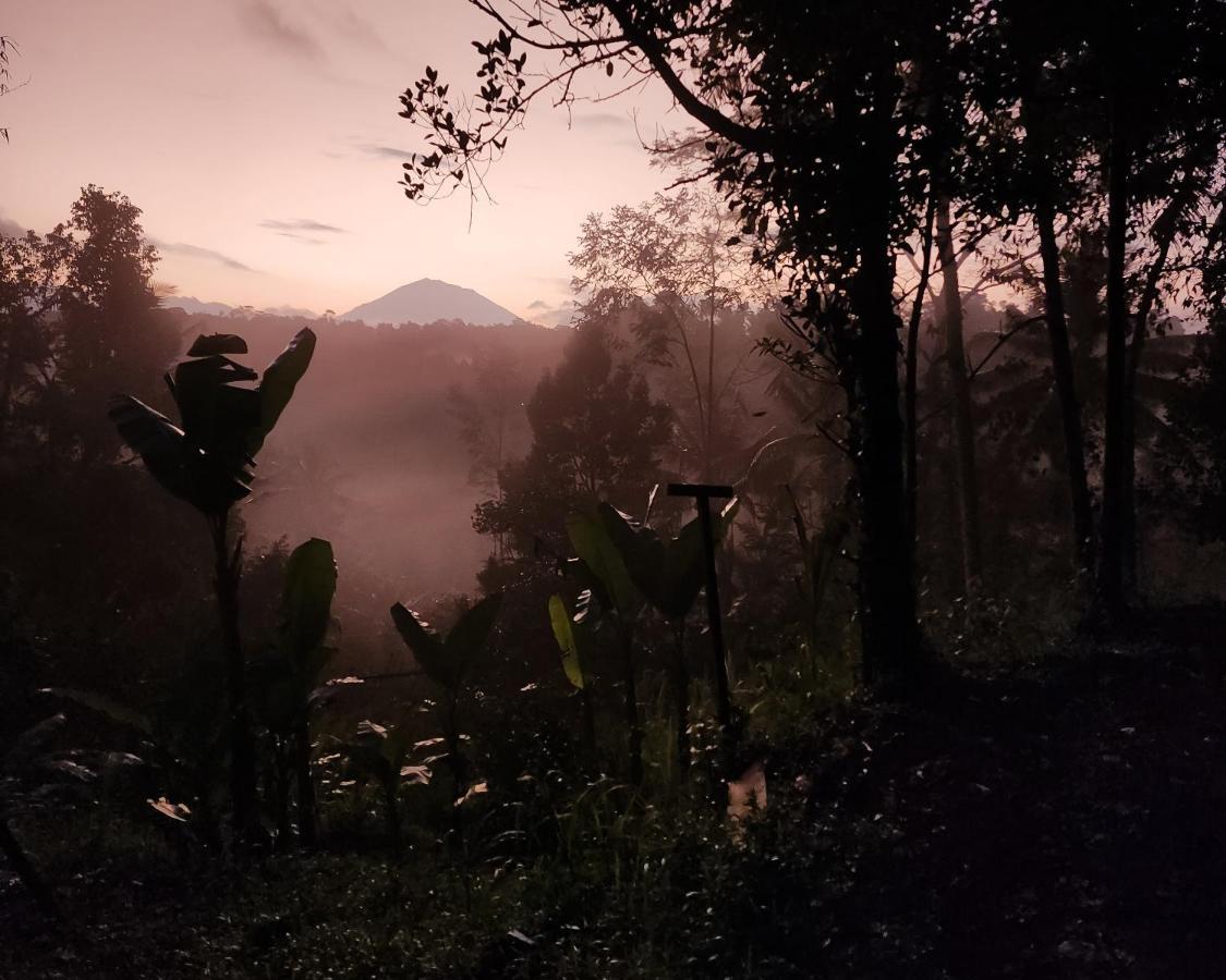 Delta Casa Ubud-jungle With Volcano View & Hot Tub Villa Payangan