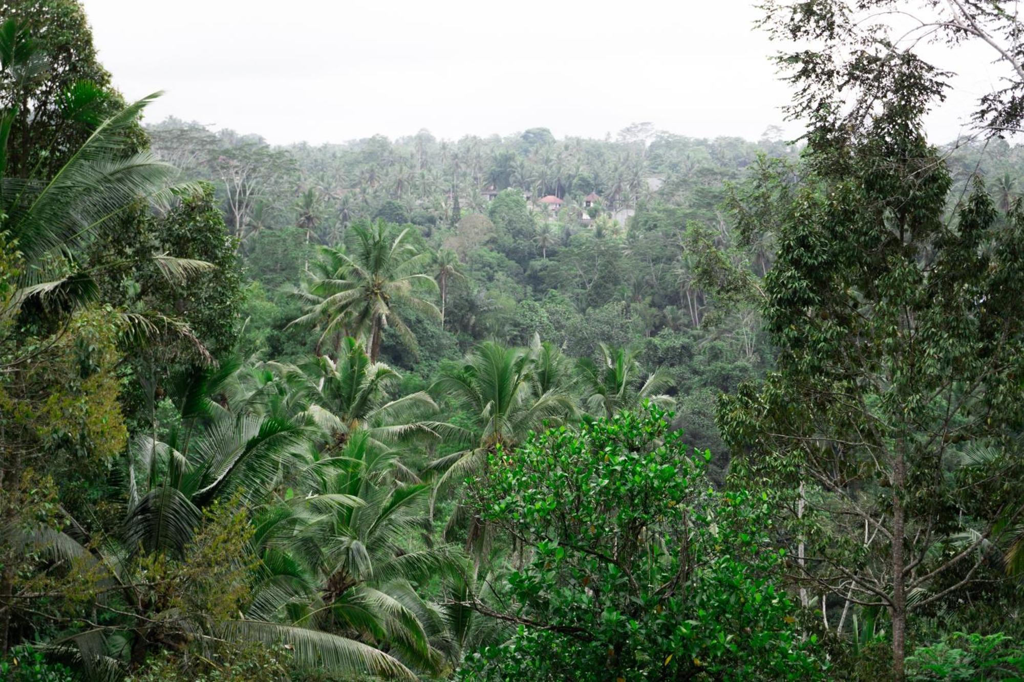 Delta Casa Ubud-jungle With Volcano View & Hot Tub Payangan